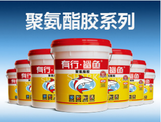 鲨鱼