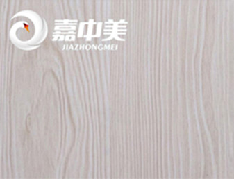 嘉中美