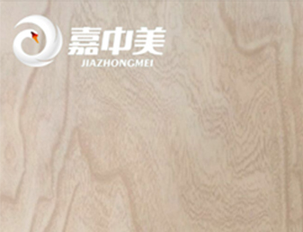 嘉中美