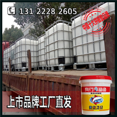 有行鲨鱼
