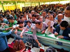兔宝宝各区域强势发力,助推“三年冲百亿”