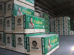 加大品牌宣传 千山木业斥巨资投放车身广告