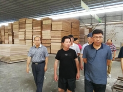 考察调研鹏森缘 来宾市领导一行赞不绝口