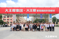 大王椰新经销商参观工厂,见证大王椰匠心品质