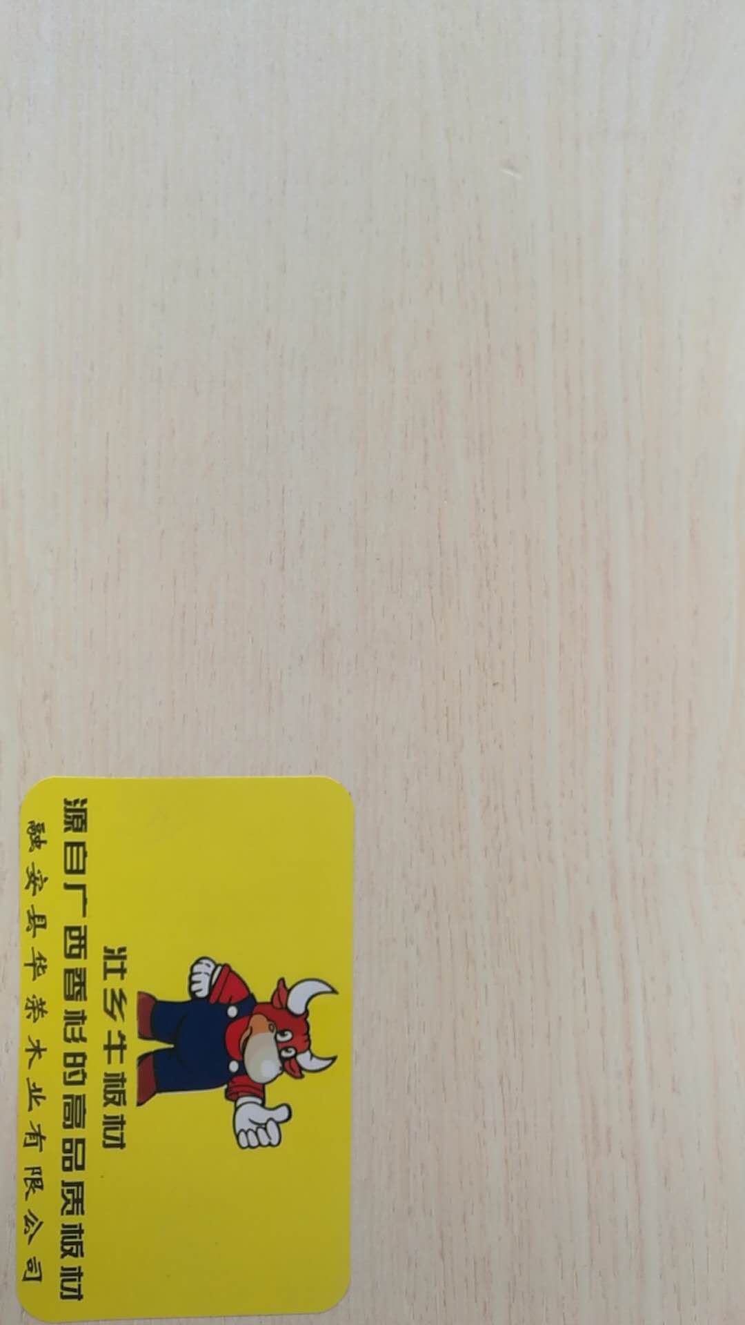 壮乡牛 桔乡牛