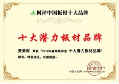 未来可期 黄果树点击进入喜获“十大潜力点击进入千赢国际娱乐免费试玩”荣誉