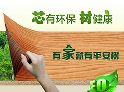 情满中秋 平安树与您共携手