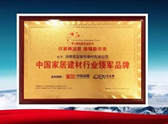 又传喜讯啦!海南博鳌: 雪宝荣获“中国家居建材行业领军品牌”