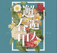 平安树2018年第四季度舒宜家系列“春”花色预选开始啦!