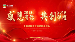 感恩有你,共创辉煌——平安树2019年年会圆满举行!