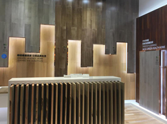 千年舟健康地板新品亮相|當玉見良渚遇到建博會
