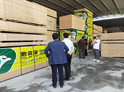 鹏森缘高层走访重庆黔江鹏森缘全屋定制销售中心 共绘发展宏图!