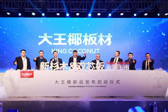 聚能·智进 | 大王椰2019新品战略发布会圆满成功!