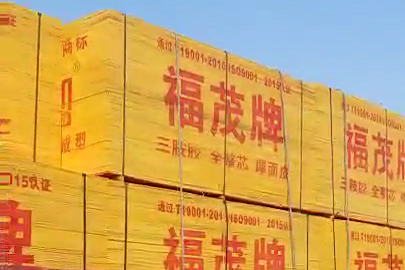 沭阳县桑墟华盛木业板厂