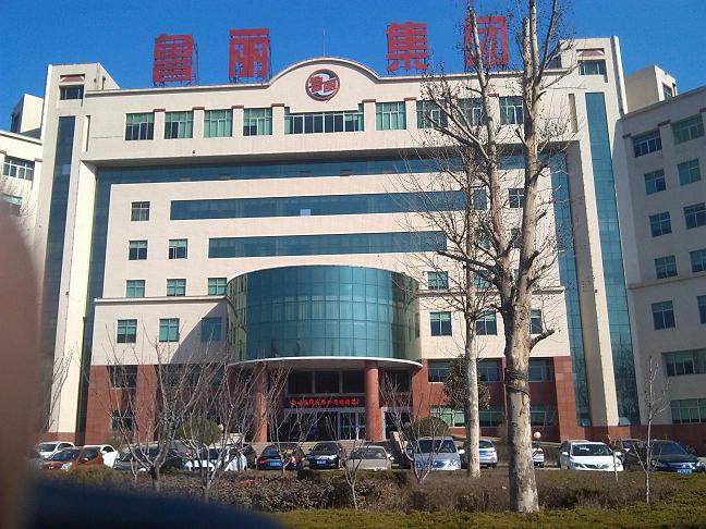 鲁丽集团销售公司