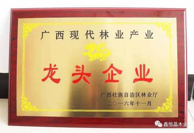 广西现代林业产业龙头企业牌匾