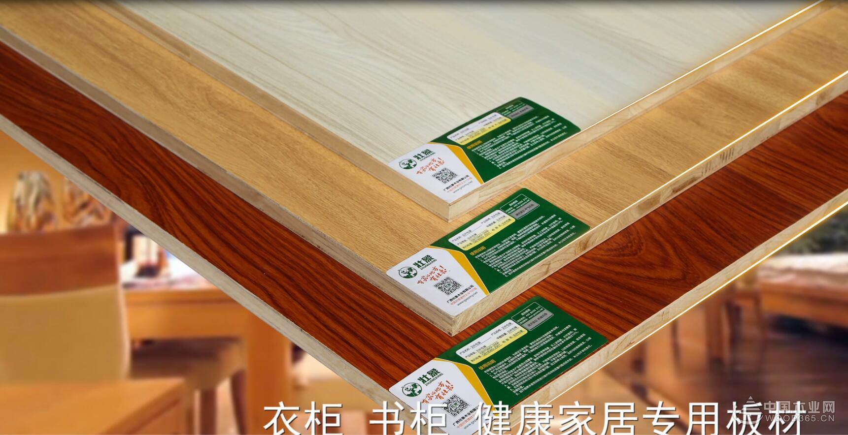 一篇文章看懂香杉的奥秘