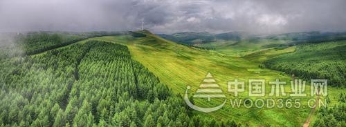 兔宝宝地板,经得起考验的好地板!