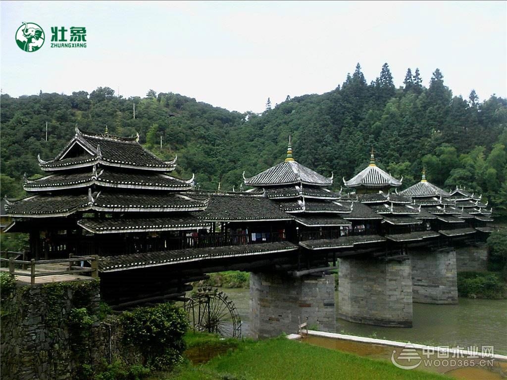 香杉情壮象梦