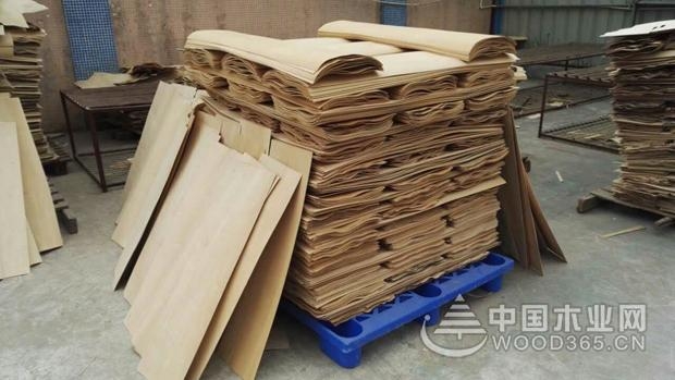 正立空气能旋切单板烘干机研发成功
