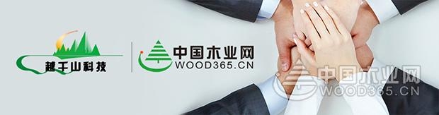强强联合谱新篇,越千山木门与尊宝娱乐品牌合作正式启动