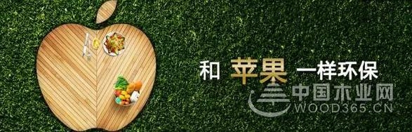 兔宝宝地板宣言:做地板,我们是认真的!