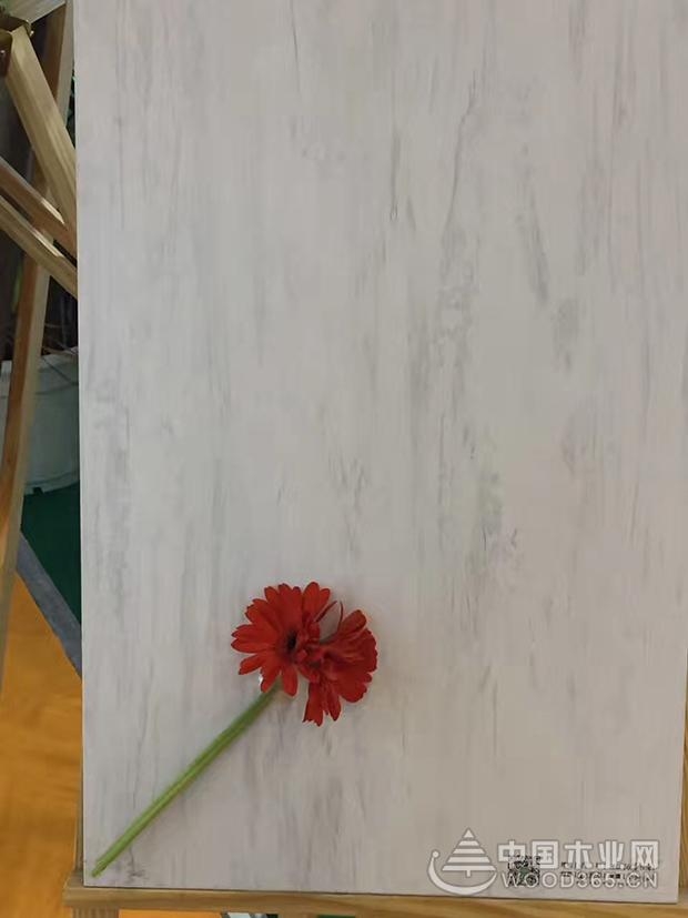 常好家明仕亚洲手机版新品发布 暨宜美康明仕亚洲手机版四川总代授牌仪式举行