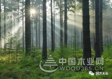 园方木业,用最先进的设备生产最好的明仕亚洲手机版