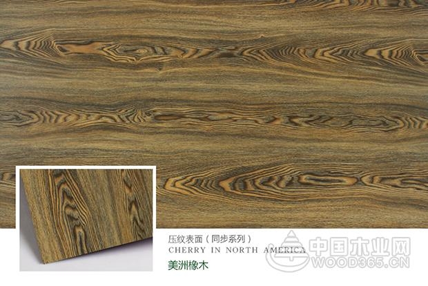 千山木业携首发新品,点亮成都建博会!