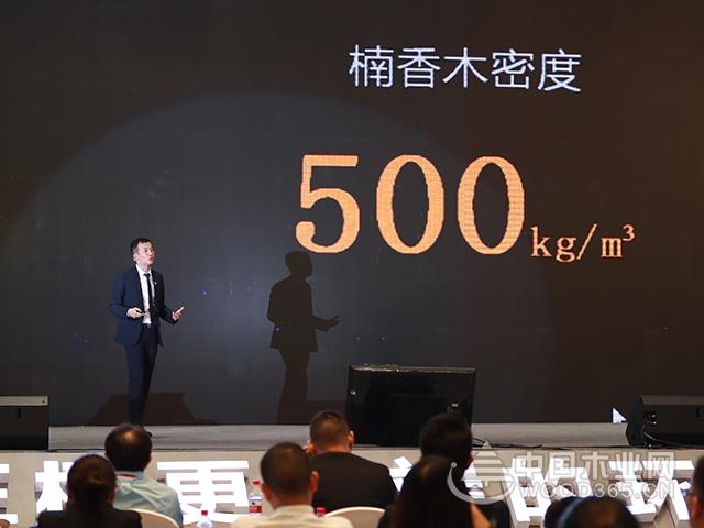 千人共襄盛举,引爆杭州——大王椰品牌战略发布会圆满落幕