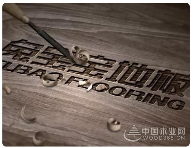 7年,兔宝宝地板世博同款重现!
