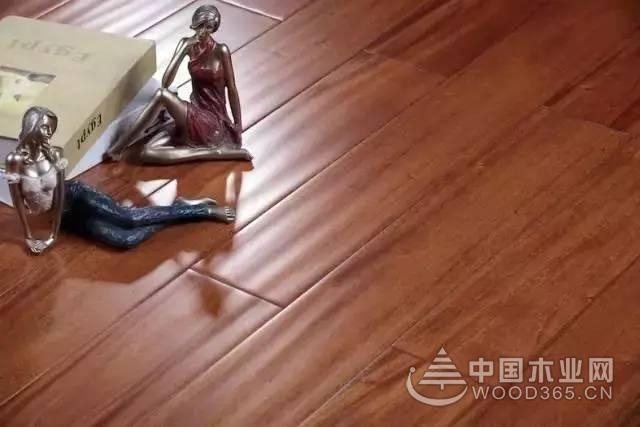7年,兔宝宝地板世博同款重现!