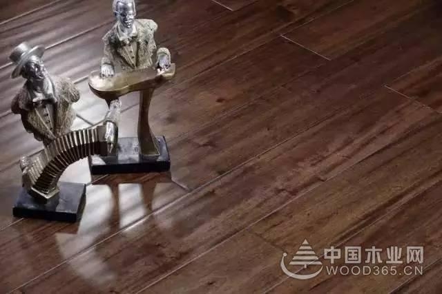 7年,兔宝宝地板世博同款重现!