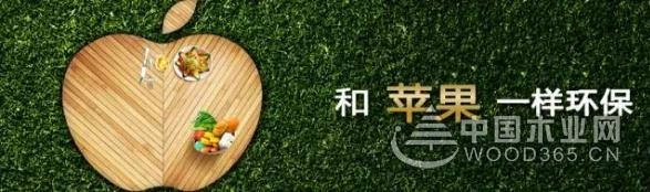 兔宝宝地板迁址扩建焕新颜
