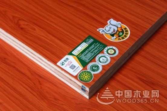自治区农业龙头企业调研组到壮象尊宝娱乐考察