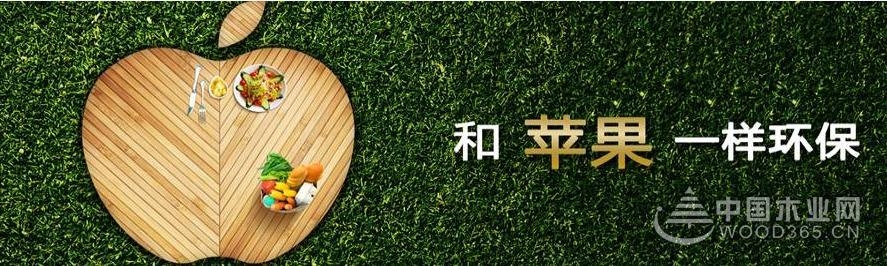 兔宝宝地板展示中国品牌魅力,让世界爱上中国造