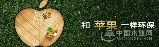 兔宝宝地板荣获中国地板国家品牌—唯有品质方得美誉