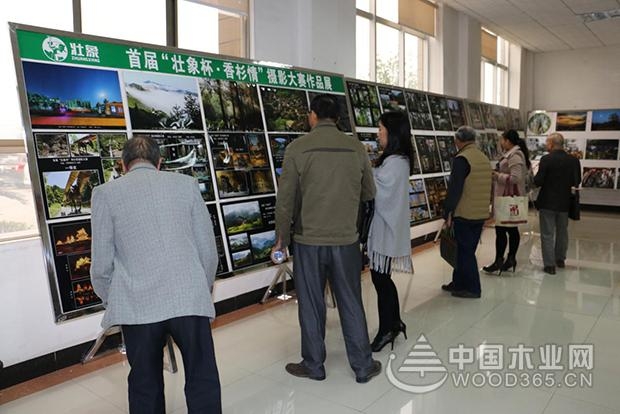 壮象举办“香杉文化”研讨会