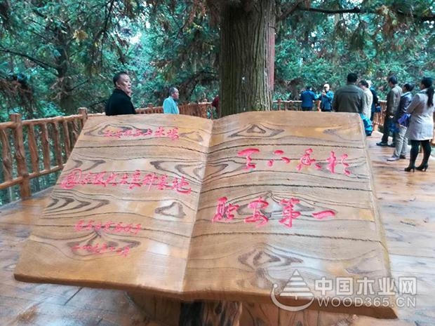 壮象举办“香杉文化”研讨会