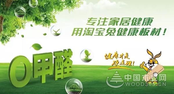 淘宝兔板材:大白墙的十八般装饰法