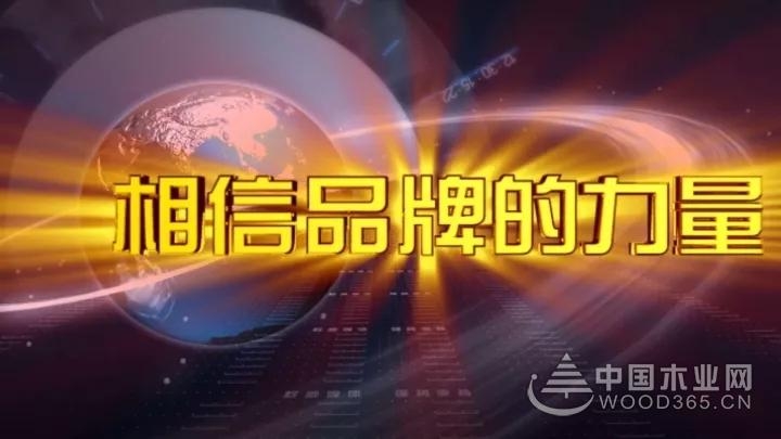 百强板材央视广告九台全面热播!权威媒体,强势支持!-永乐国际