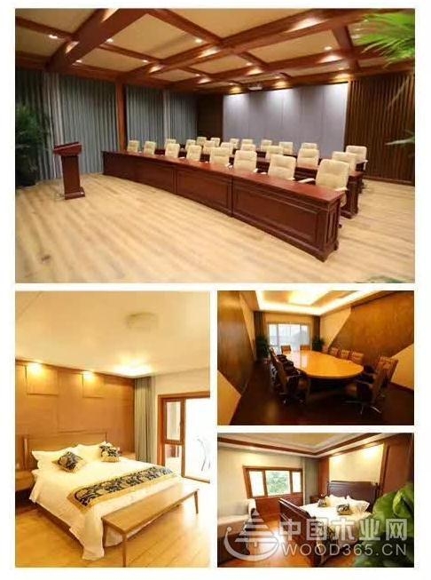 洛漾半岛兔宝宝商学院培训中心正式启动!