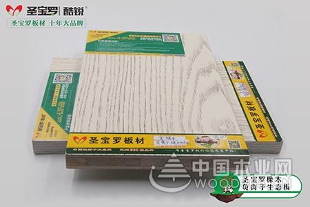 缔造卓越品质,圣宝罗品牌屡获殊荣!