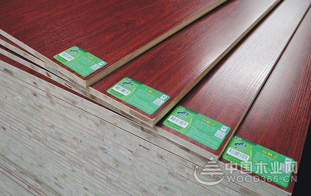莫干山品牌荣获“用户关注板材品牌”、“用户关注地板品牌”荣誉称号!