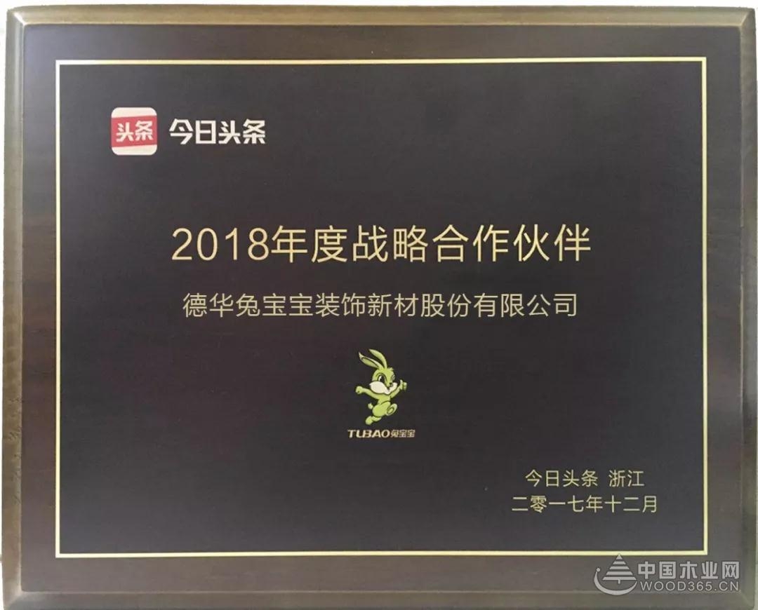 兔宝宝荣获“2017年度影响力品牌”