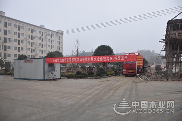 曲美家居集团股份有限公司副总赵瑞杰一行到访科林尊宝娱乐参观考察