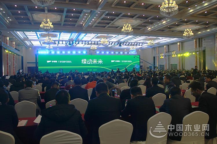 绿动未来 公益同行 | 千年舟“绿色健康家”品牌战略发布会圆满成功!