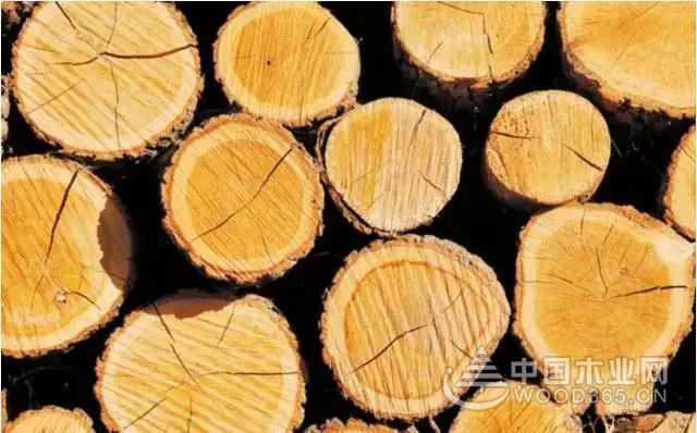 正立:木材干燥过程开裂?这几种应对措施必须知道