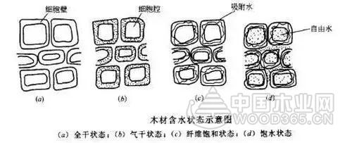 正立:木材干燥过程开裂?这几种应对措施必须知道