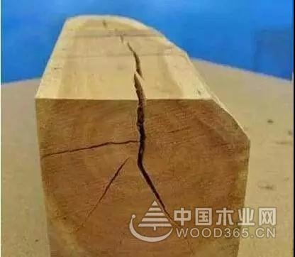 正立:木材干燥过程开裂?这几种应对措施必须知道
